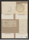 Stephanopyxis palmeriana (e[...] f. javanica) Grun (de-Toni-Nr.: Genus 187, Species 4630) Zeichnungen Sammlung Grunow Nr. 8276 (NHMW-BOT-W0377673)
